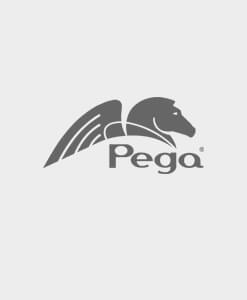 Pegasystems